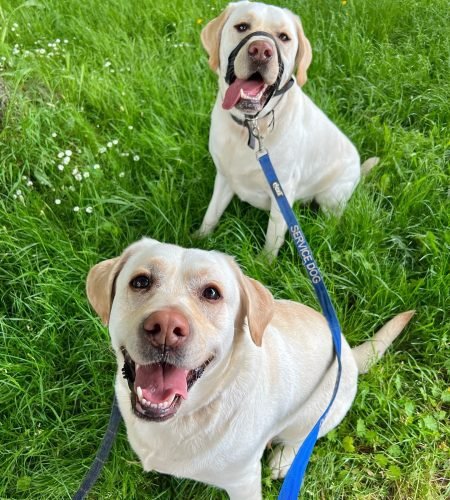 plush_pups__1717765717_3385186654856689340_58440265816 plush_pups__1717765717_3385186654856689340_58440265816